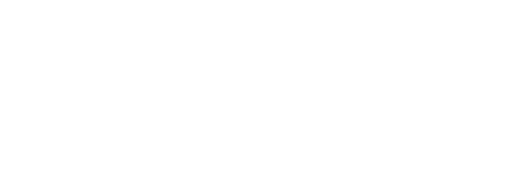 CyberTroops